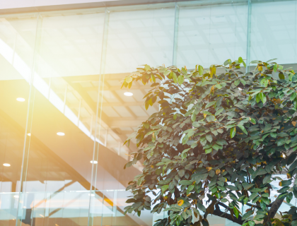 Lawler Group Career Page